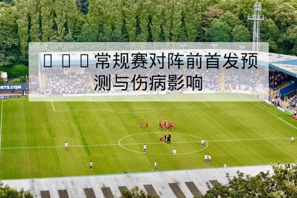 戴维斯杯首发单打双打阵容与出场概率查询